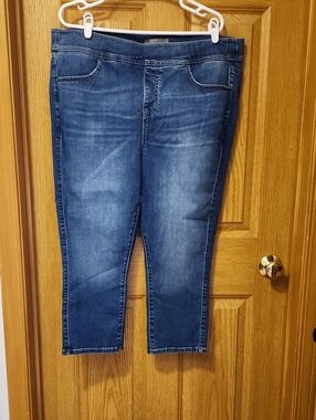 Torrid Crop Lean Jean 2